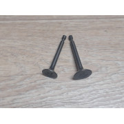 Клапаны Loncin 1P65FA(FE) 500550034-0001 (пара)